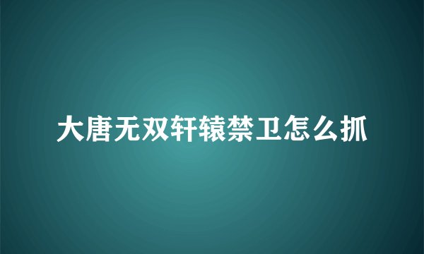 大唐无双轩辕禁卫怎么抓