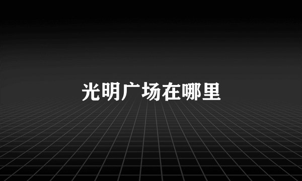 光明广场在哪里