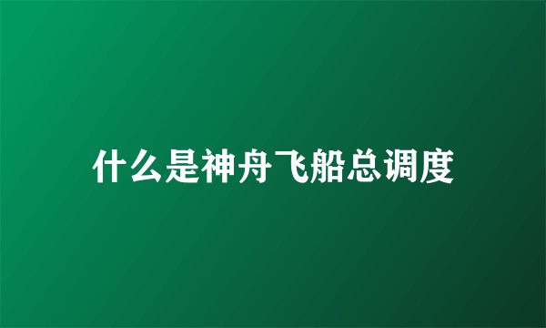 什么是神舟飞船总调度