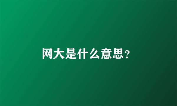 网大是什么意思？