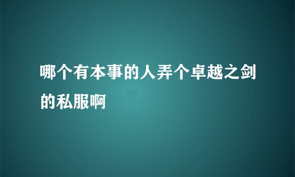 哪个有本事的人弄个卓越之剑的私服啊