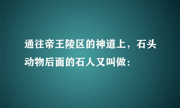 通往帝王陵区的神道上，石头动物后面的石人又叫做：