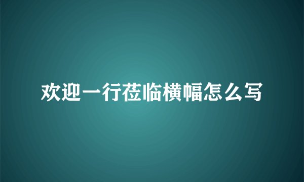 欢迎一行莅临横幅怎么写