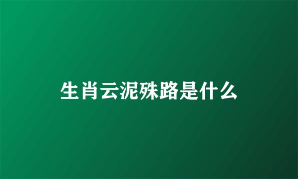 生肖云泥殊路是什么
