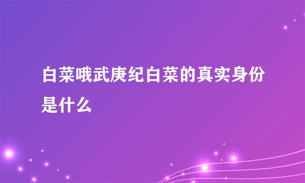 白菜哦武庚纪白菜的真实身份是什么