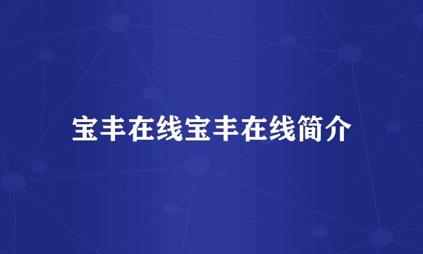 宝丰在线宝丰在线简介