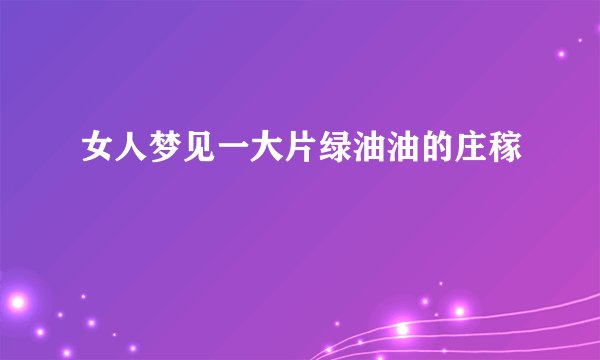 女人梦见一大片绿油油的庄稼