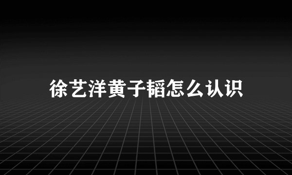 徐艺洋黄子韬怎么认识