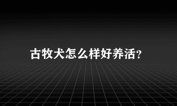 古牧犬怎么样好养活？