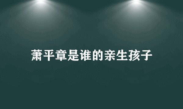萧平章是谁的亲生孩子