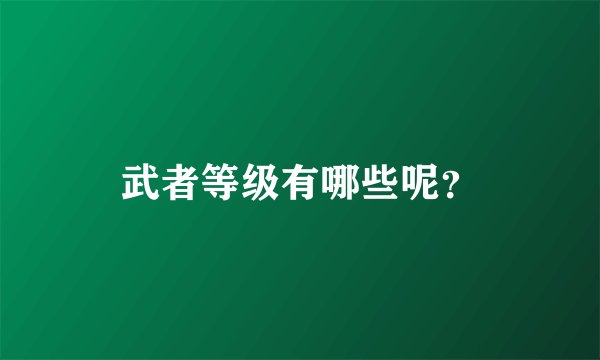 武者等级有哪些呢？