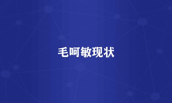 毛呵敏现状