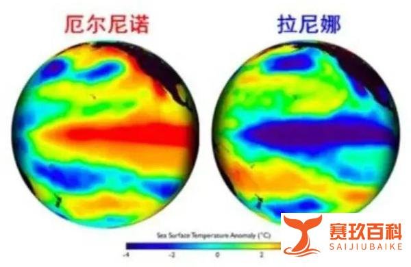 紧急!今冬北方等地气温偏低,可能出现极端天气!警惕蔬菜被冻伤
