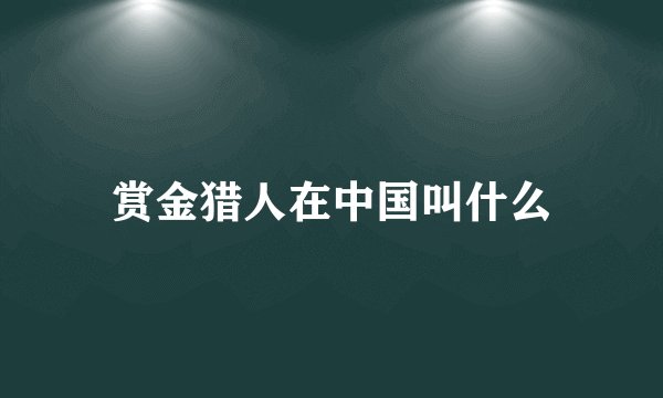 赏金猎人在中国叫什么