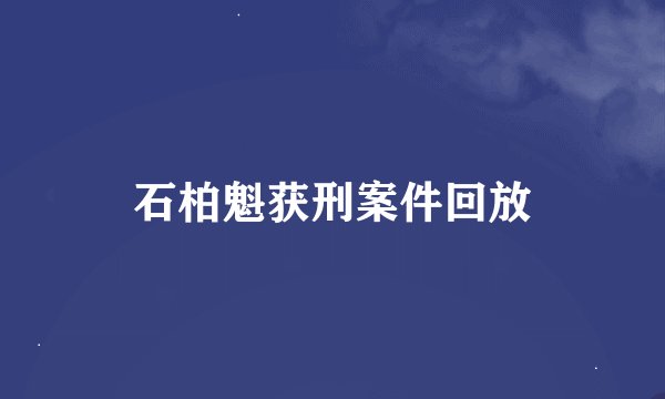 石柏魁获刑案件回放