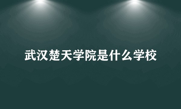 武汉楚天学院是什么学校