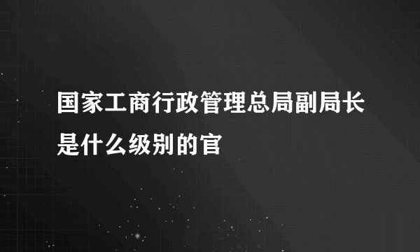 国家工商行政管理总局副局长是什么级别的官