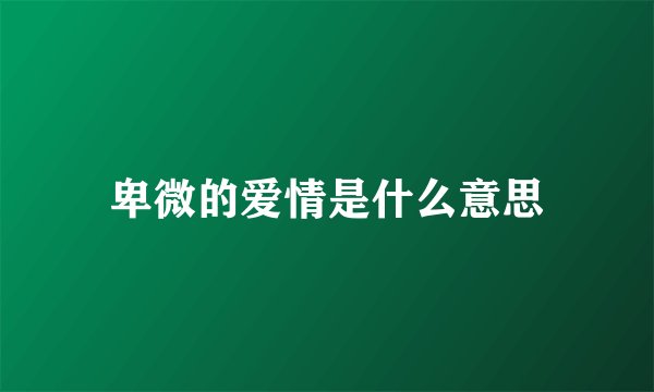 卑微的爱情是什么意思