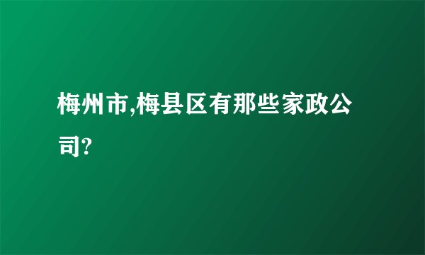 梅州市,梅县区有那些家政公司?