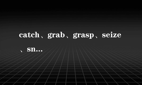 catch、grab、grasp、seize、snatch的区别和用法详解：哪个动词更强调突然性和夺取？