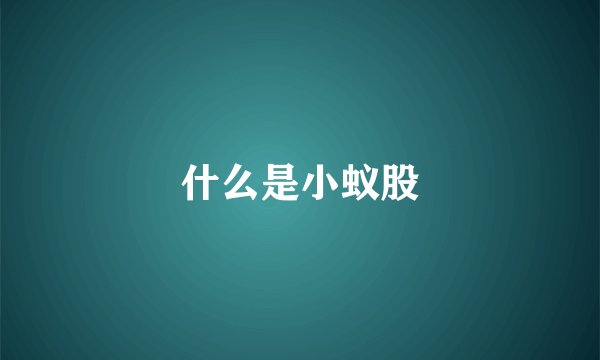 什么是小蚁股