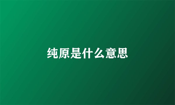 纯原是什么意思