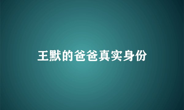 王默的爸爸真实身份