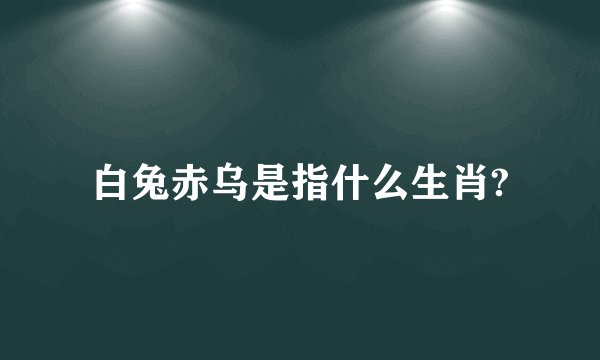 白兔赤乌是指什么生肖?