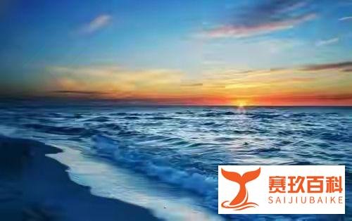 风起此岸花落彼岸,此岸彼岸何处才是岸