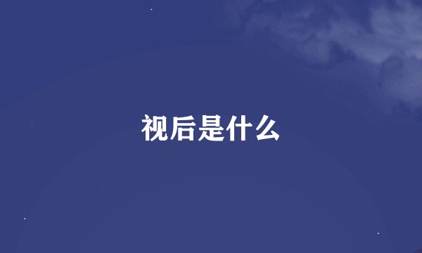 视后是什么