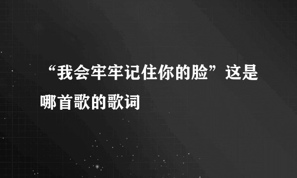 “我会牢牢记住你的脸”这是哪首歌的歌词