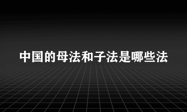 中国的母法和子法是哪些法
