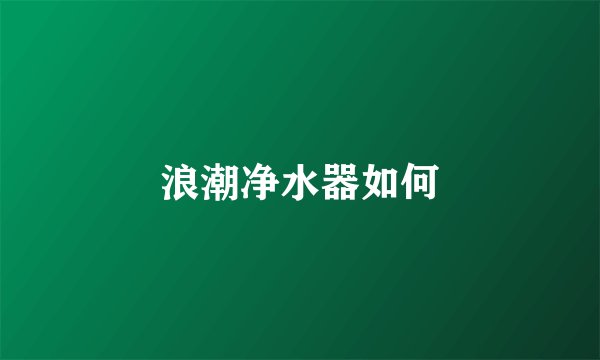 浪潮净水器如何
