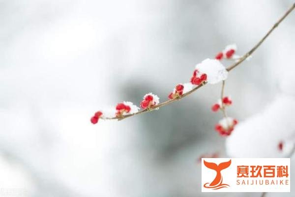 12月6日大雪,“大雪不冻,惊蛰不开”,啥意思啥预兆,有道理?