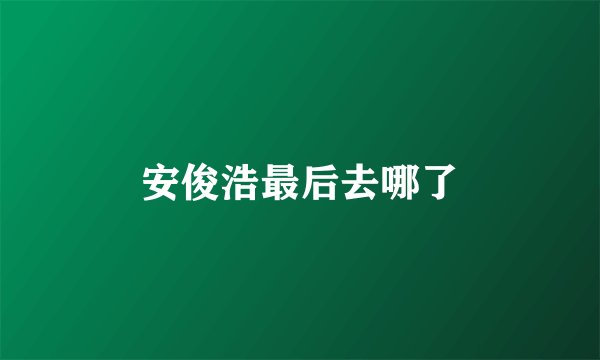 安俊浩最后去哪了