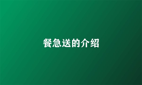 餐急送的介绍