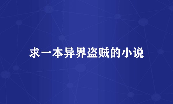 求一本异界盗贼的小说
