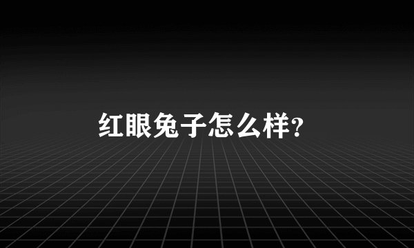 红眼兔子怎么样？