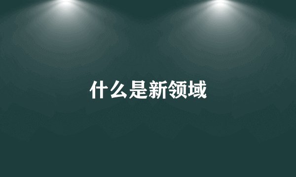 什么是新领域