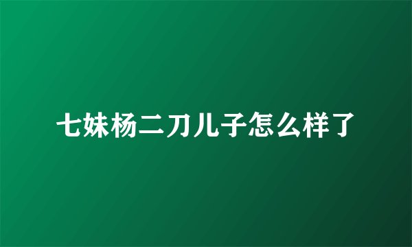 七妹杨二刀儿子怎么样了
