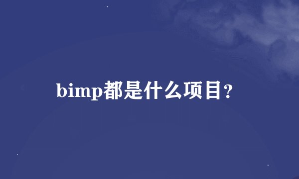 bimp都是什么项目？
