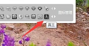 QQ真王图标怎么点亮
