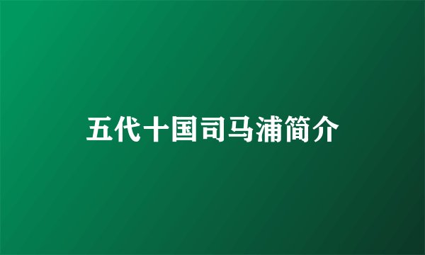 五代十国司马浦简介