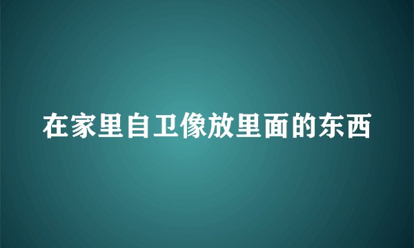 在家里自卫像放里面的东西