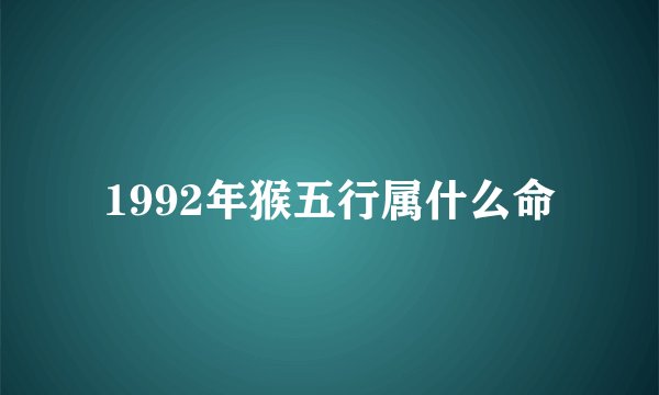 1992年猴五行属什么命