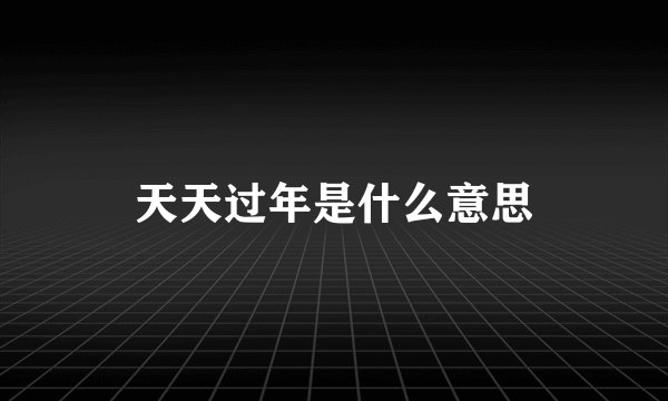 天天过年是什么意思