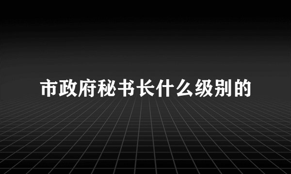 市政府秘书长什么级别的
