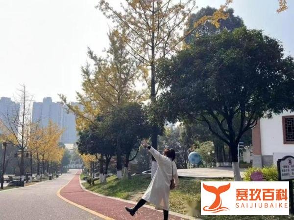 俗话“春节冷不冷,就看冬至”,2024年春节期间冷吗?答案来了