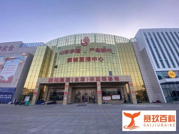 警方通报树拍APP涉嫌集资诈骗,树拍APP集资参与人请尽快报案