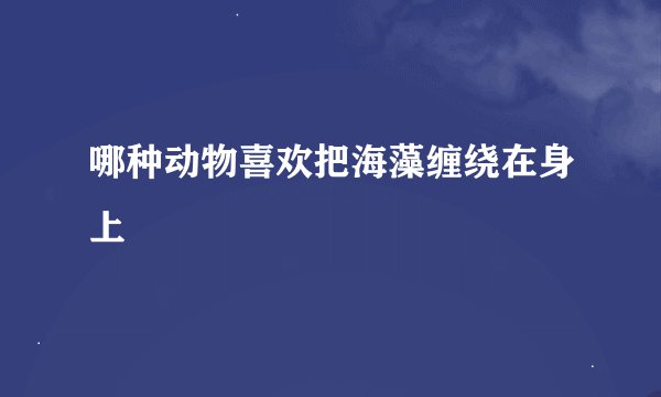 哪种动物喜欢把海藻缠绕在身上